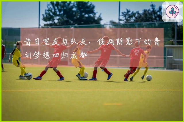 昔日室友与队友，伤病阴影下的青训梦想回归成都