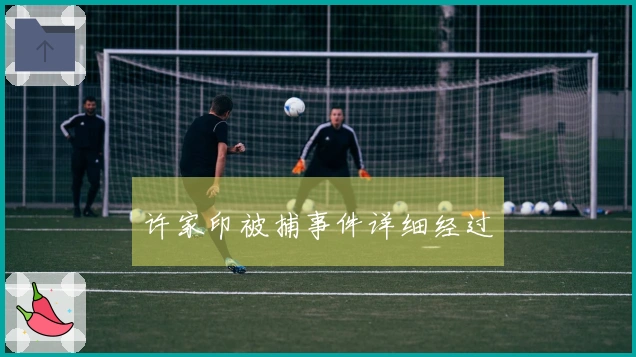 许家印被捕事件详细经过