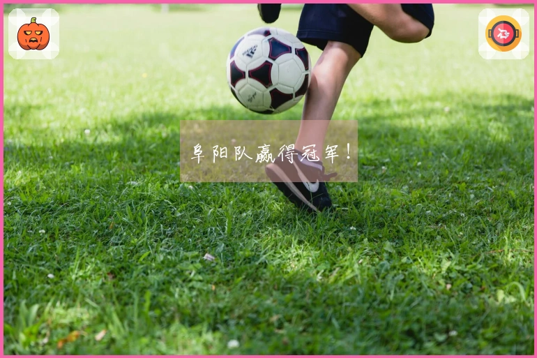 阜阳队赢得冠军！